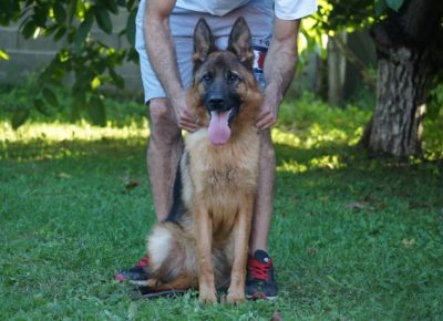 1317710537230892319674548513164726334900248n1608152193