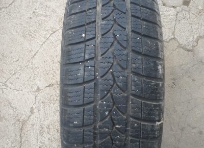 202011241209441608054936