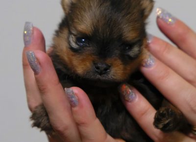 1343514321153815670278173552070167165389570n1609890822