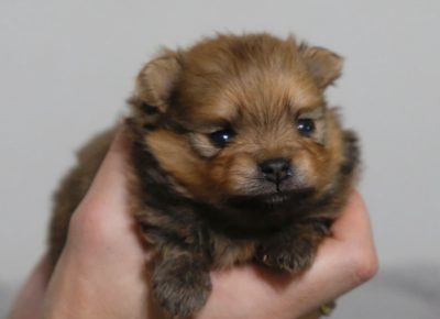 13443753817951111739813889025154872618879729n1609890822