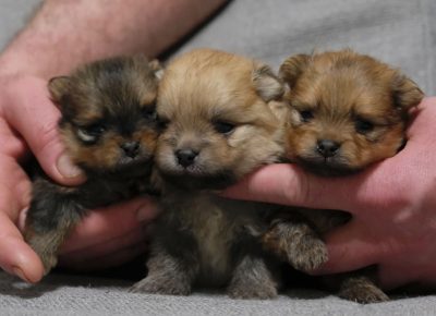 13457788238168162483405287412190041950960598n1609890821