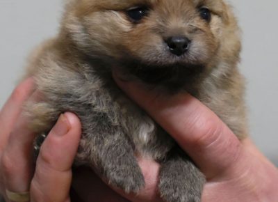 13502569444058769065009818127674116185319n1609890821