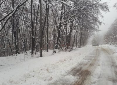 202101301254421612027304