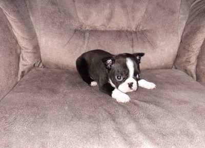 BESTvukovic1611767549