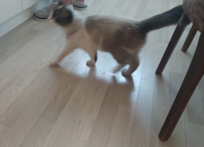 IMG202011281533231612012890