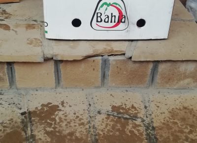 IMG202101041137311609760442