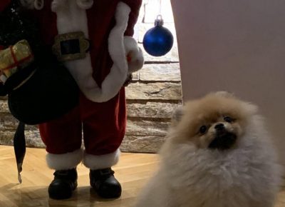 MIRčetboo11609701657