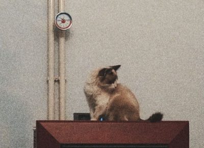 Snapchat5258934751612012716