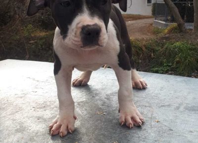 WhatsAppImage20210118at12.55.56(1)1610986093