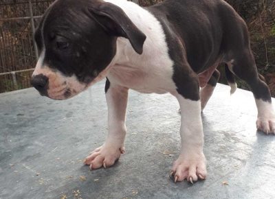 WhatsAppImage20210118at12.55.561610986095