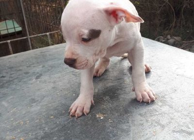 WhatsAppImage20210118at12.55.58(1)1610986094