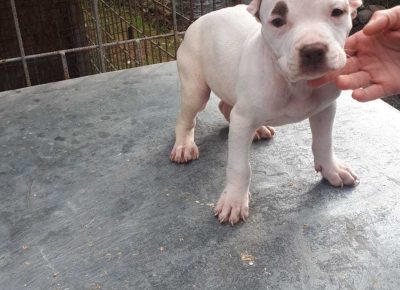 WhatsAppImage20210118at12.55.59(1)1610986096