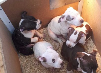 WhatsAppImage20210118at12.55.59(2)1610986092