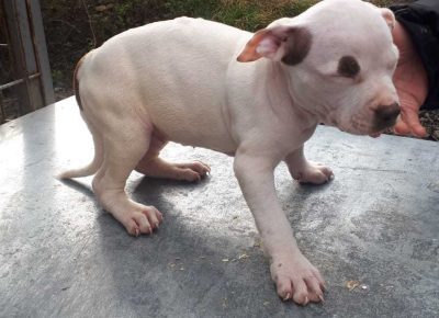 WhatsAppImage20210118at12.55.591610986092