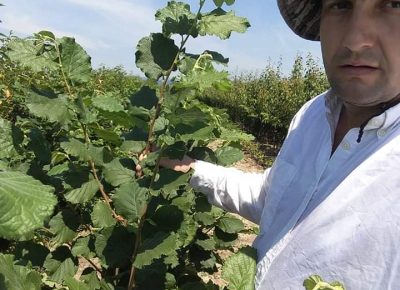 received6122177663447281611826518