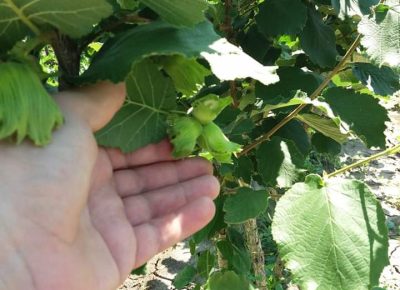 received6415331431313421611826525