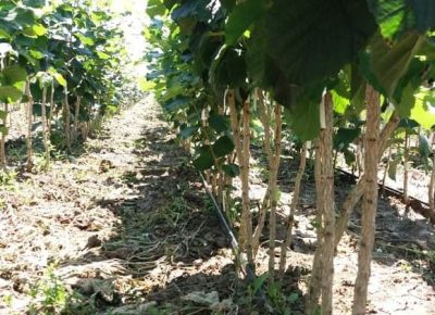 received7198805321351321611826555