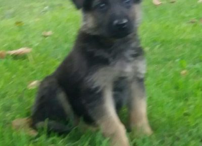 viberimage202101061154611609948614