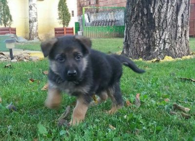 viberimage202101061154621609948614