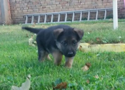 viberimage202101061154631609948613