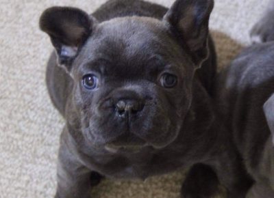 1474320282647091116911506392123445208208693n1613047585