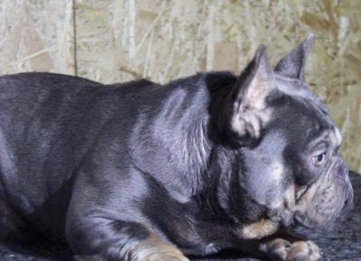 1502218651142011282935758596311724375129446n1613581815