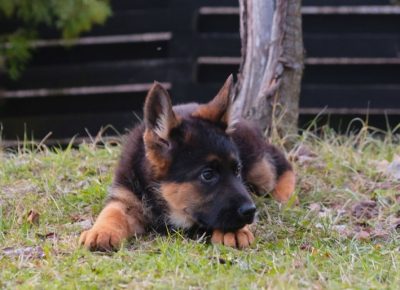 1515429601307235956114732527081199641251578n1613839437