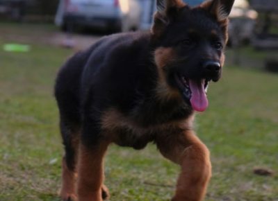 1515429601307235956114732527081199641251579n1613839436