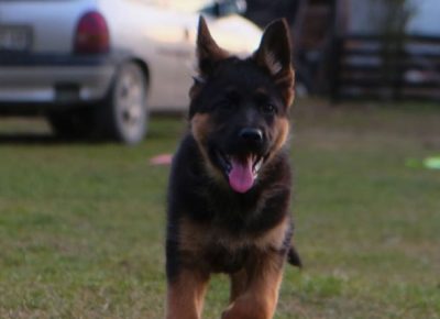 1515429601307235956114732527081199641251580n1613839437