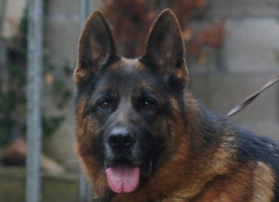 1515429601307235956114732527081199641251582n1613839436