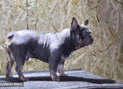 1516248602517604331959119057956024776396866n1613581814