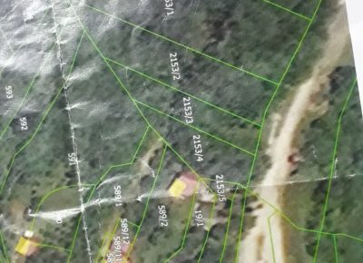 202101071737531612853578