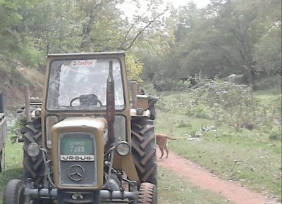 202101201912091613336427