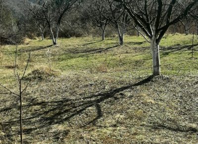 202102231333561614338280