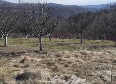 202102231334461614338280