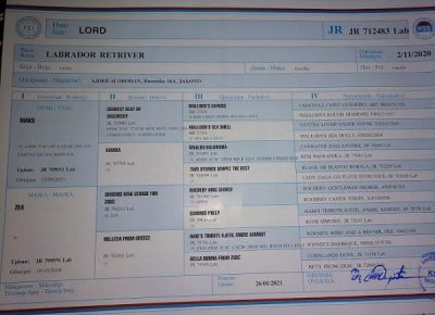 3Slobodan21612199422