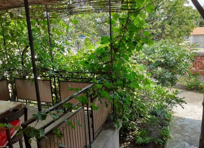 IMG362a040d25a84b4aa9ab220c044af84bV1614278320