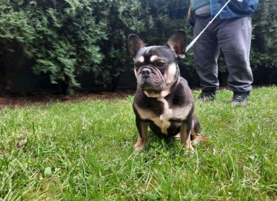 Parenjefrbb21613234330