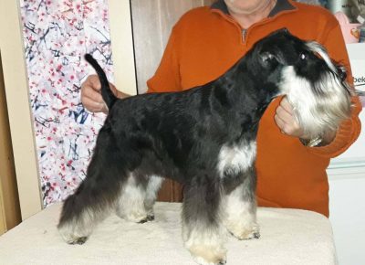 Pšnapare11613418417