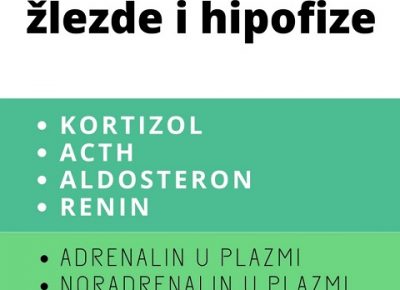 VitalabNoviPazar(5)1612876934