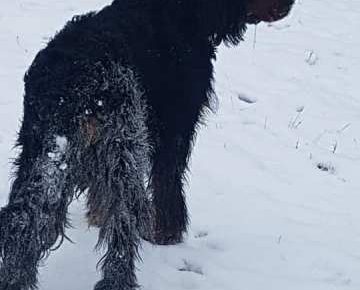 gordonseter041614093539