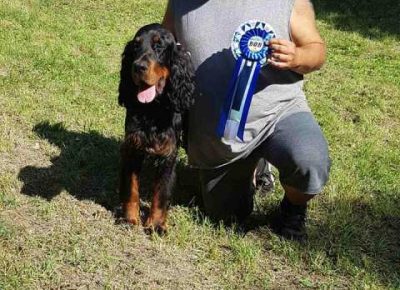 gordonseter051614093540