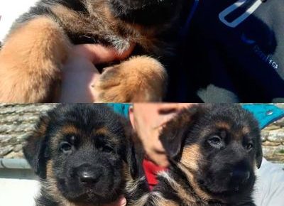 viberimage202102170024291613588755