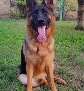 viberimage202102170024321613588753