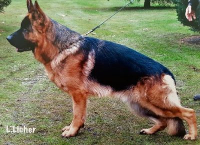 viberimage202102170024331613588756