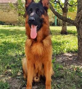 viberimage202102170024341613588754