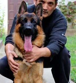 viberimage202102170024351613588755