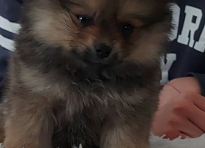 viberimage202102171926471613681429