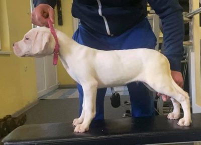 viberimage202102262031571614434532