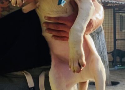 viberimage202102262031591614434532